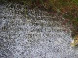 image of grave number 953962